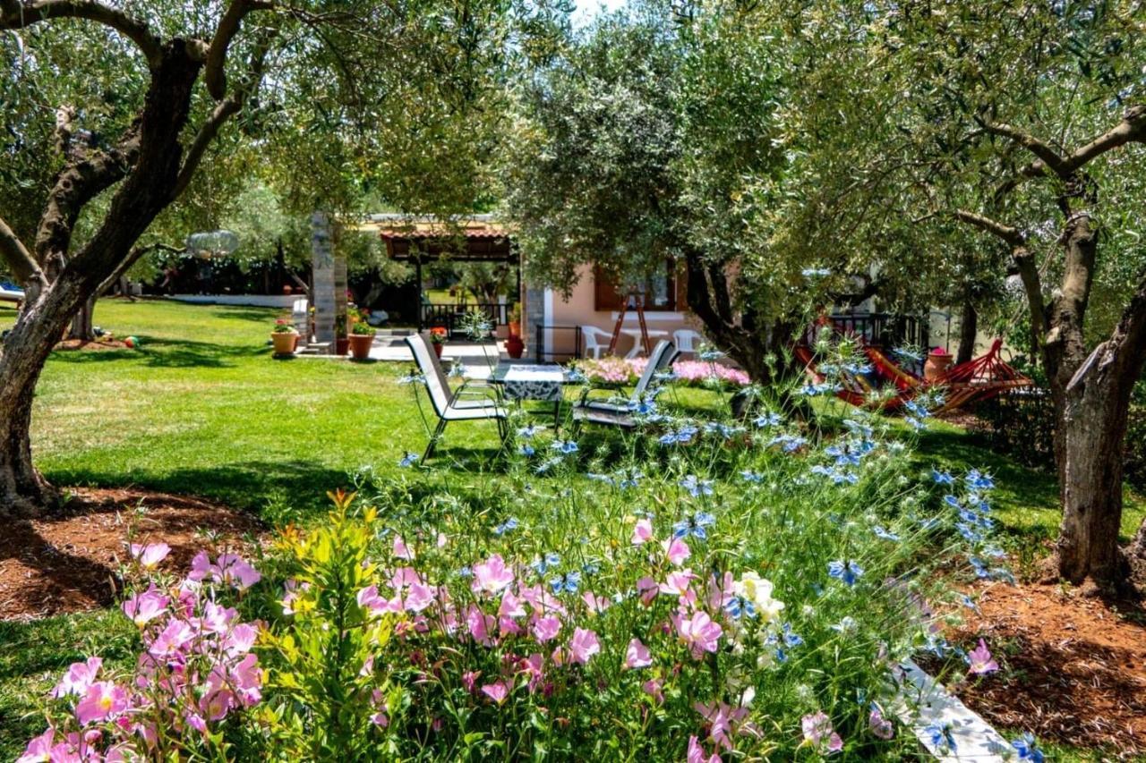 Small Paradise Nikiti  Dış mekan fotoğraf
